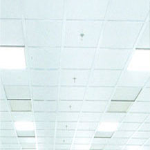 Cleanroom Ceiling